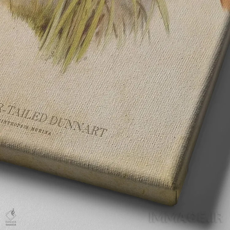 تابلو دونارت دمباریک (وینتیج) اثر پیکسل کهنه (استودیو/نام هنری) - نمای نزدیک بافت بوم