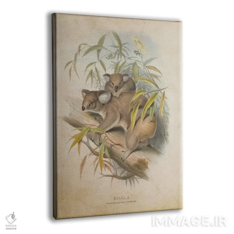 تابلو کوالا (وینتیج) اثر پیکسل کهنه (استودیو/نام هنری) - نمای پرسپکتیو محصول