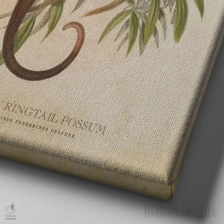 تابلو اپوسوم دمحلقهای معمولی (وینتیج) اثر پیکسل کهنه (استودیو/نام هنری) - نمای نزدیک بافت بوم