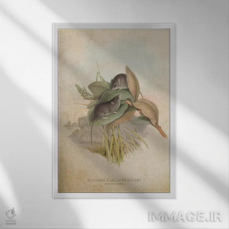 تابلو دونارت دمباریک (وینتیج) اثر پیکسل کهنه (استودیو/نام هنری) - نمای قابدار سفید