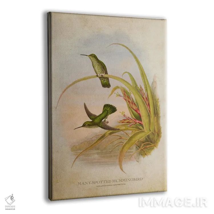 تابلو مرغ مگسخوار پرخالدار (وینتیج) اثر پیکسل کهنه (استودیو/نام هنری) - نمای پرسپکتیو محصول