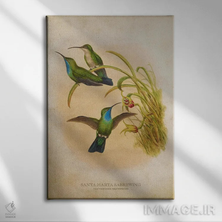 تابلو سبروینگ سانتا مارتا (وینتیج) (نوعی مرغ مگسخوار) اثر پیکسل کهنه (استودیو/نام هنری) - نمای روبهرو روی دیوار