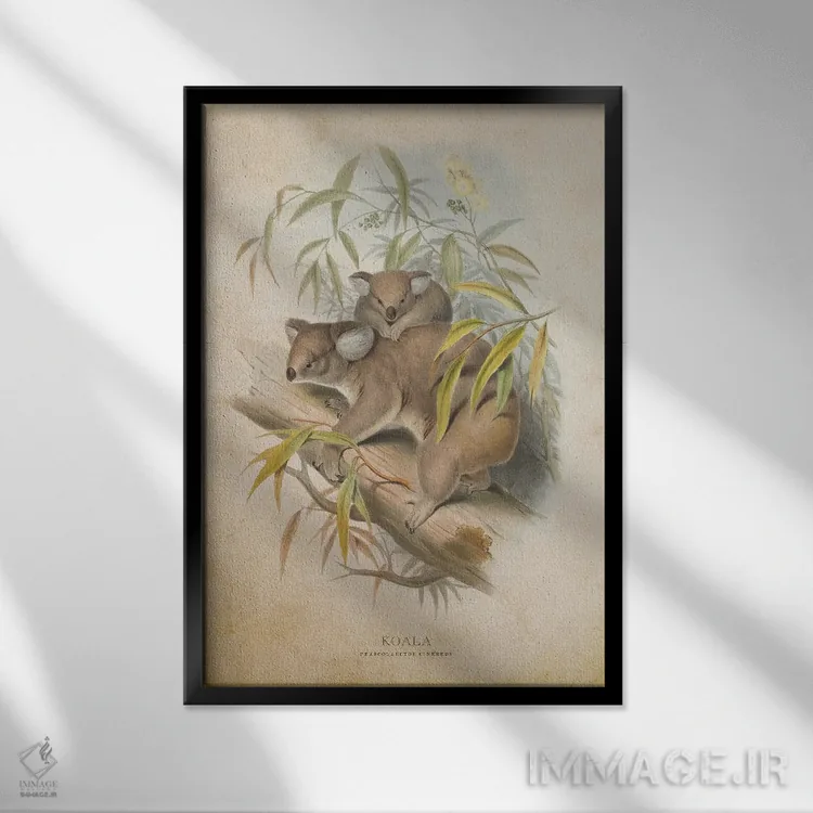 تابلو کوالا (وینتیج) اثر پیکسل کهنه (استودیو/نام هنری) - نمای قابدار مشکی