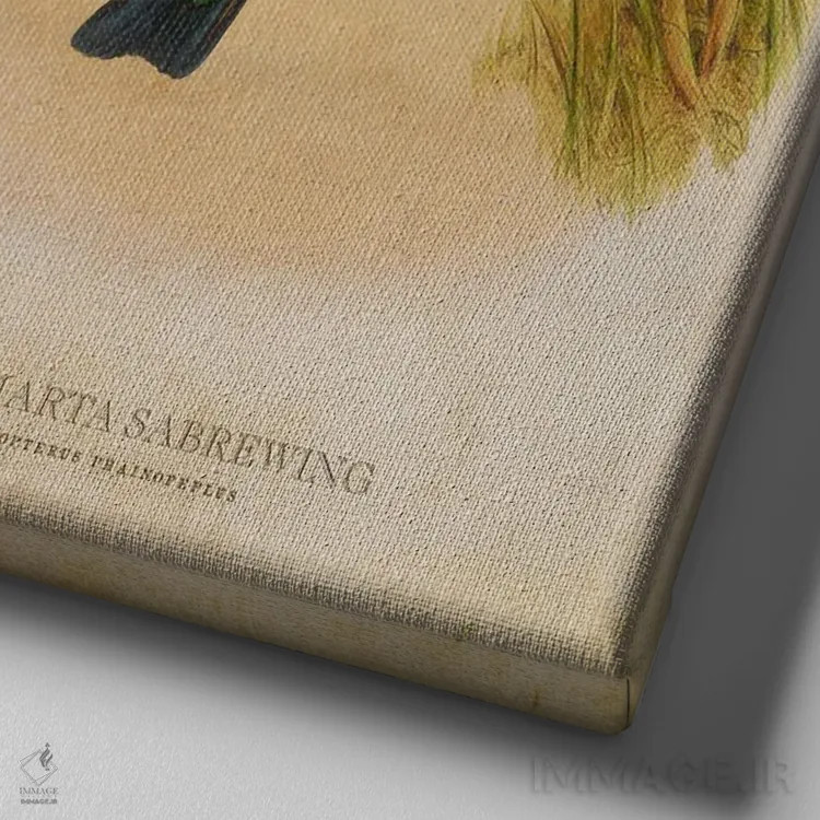 تابلو سبروینگ سانتا مارتا (وینتیج) (نوعی مرغ مگسخوار) اثر پیکسل کهنه (استودیو/نام هنری) - نمای نزدیک بافت بوم