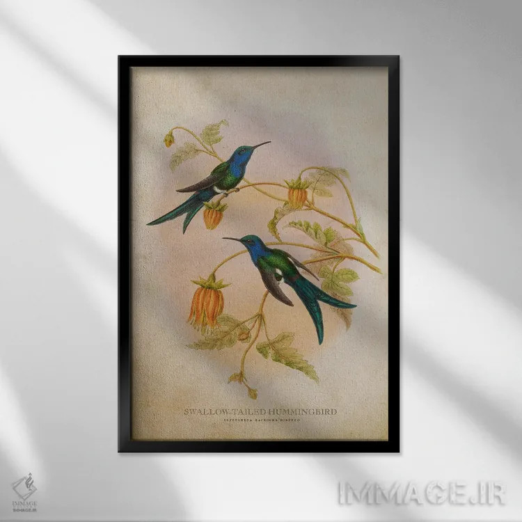 تابلو مرغ مگسخوار دمپرستوئی (وینتیج) اثر پیکسل کهنه (استودیو/نام هنری) - نمای قابدار مشکی