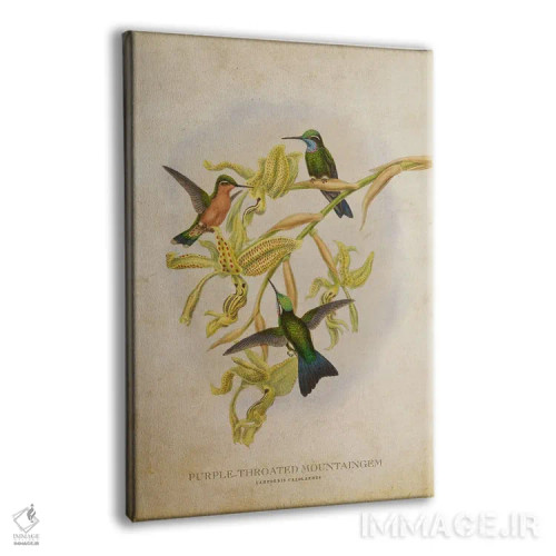 تابلو ماونتینگم گلوی بنفش (وینتیج) اثر پیکسل کهنه (استودیو/نام هنری) - نمای پرسپکتیو محصول