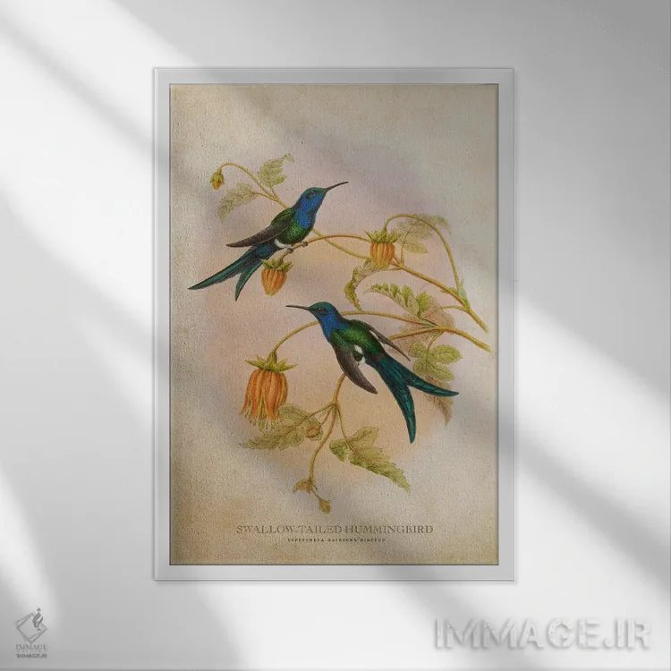 تابلو مرغ مگسخوار دمپرستوئی (وینتیج) اثر پیکسل کهنه (استودیو/نام هنری) - نمای قابدار سفید