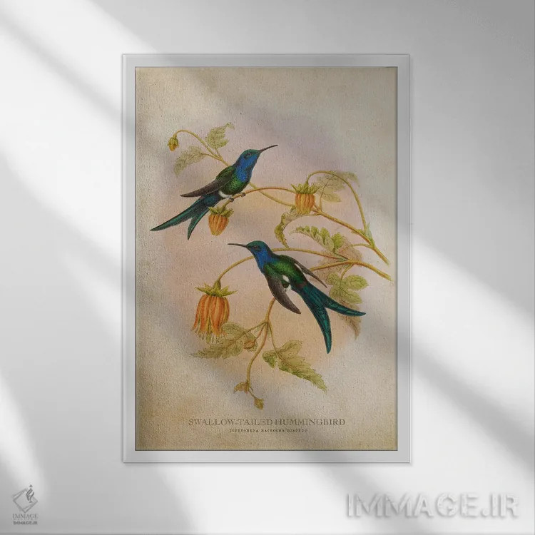 تابلو مرغ مگسخوار دمپرستوئی (وینتیج) اثر پیکسل کهنه (استودیو/نام هنری) - نمای قابدار سفید