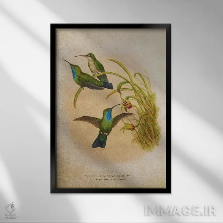 تابلو سبروینگ سانتا مارتا (وینتیج) (نوعی مرغ مگسخوار) اثر پیکسل کهنه (استودیو/نام هنری) - نمای قابدار مشکی