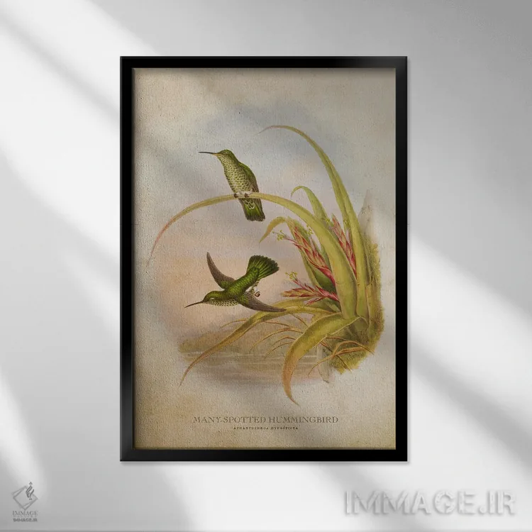 تابلو مرغ مگسخوار پرخالدار (وینتیج) اثر پیکسل کهنه (استودیو/نام هنری) - نمای قابدار مشکی