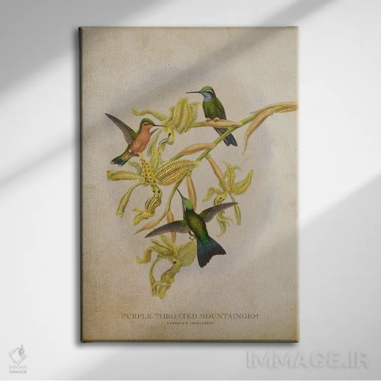 تابلو ماونتینگم گلوی بنفش (وینتیج) اثر پیکسل کهنه (استودیو/نام هنری) - نمای روبهرو روی دیوار