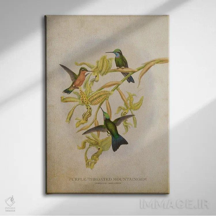 تابلو ماونتینگم گلوی بنفش (وینتیج) اثر پیکسل کهنه (استودیو/نام هنری) - نمای روبهرو روی دیوار
