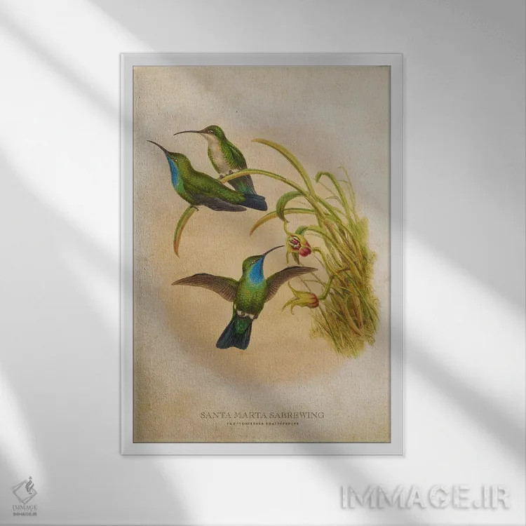 تابلو سبروینگ سانتا مارتا (وینتیج) (نوعی مرغ مگسخوار) اثر پیکسل کهنه (استودیو/نام هنری) - نمای قابدار سفید