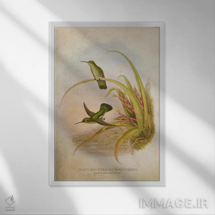 تابلو مرغ مگسخوار پرخالدار (وینتیج) اثر پیکسل کهنه (استودیو/نام هنری) - نمای قابدار سفید