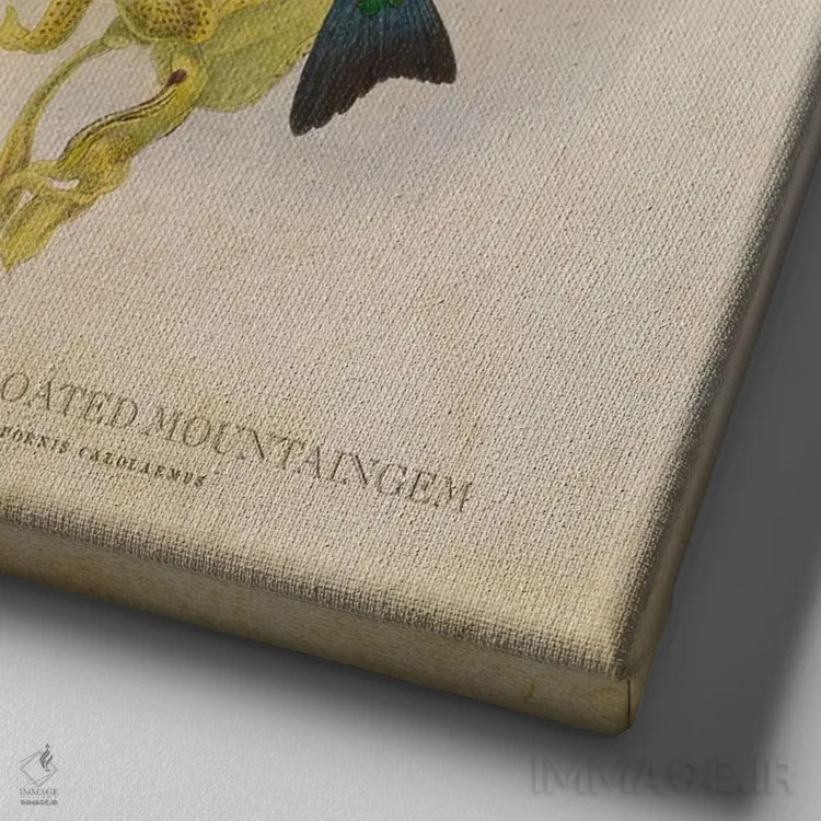 تابلو ماونتینگم گلوی بنفش (وینتیج) اثر پیکسل کهنه (استودیو/نام هنری) - نمای نزدیک بافت بوم