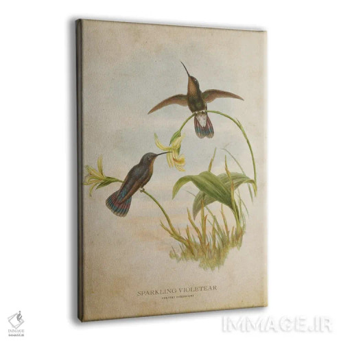 تابلو گوشبنفش درخشان (وینتیج) (مرغ مگسخوار) اثر پیکسل کهنه (استودیو/نام هنری) - نمای پرسپکتیو محصول
