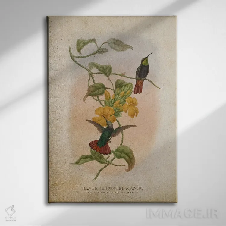 تابلو منگو گلوسیاه (وینتیج) (گونهای مرغ مگسخوار) اثر پیکسل کهنه (استودیو/نام هنری) - نمای روبهرو روی دیوار