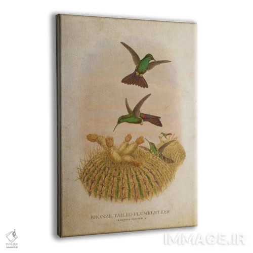 تابلو پلاملتیر دمبرنزی (وینتیج) (مرغ مگسخوار) اثر پیکسل کهنه (استودیو/نام هنری) - نمای پرسپکتیو محصول