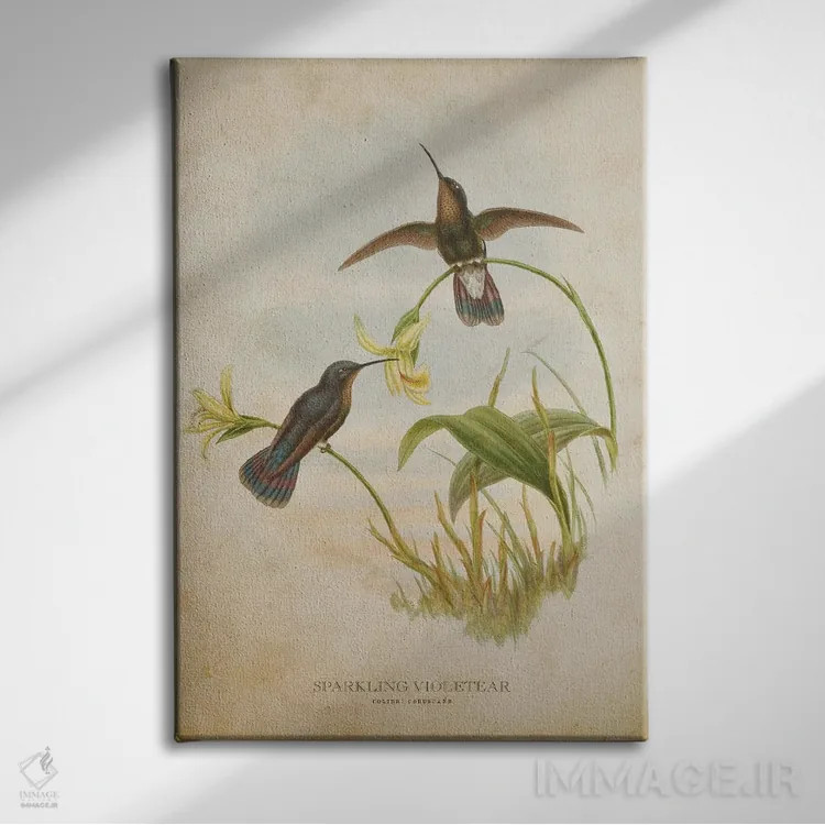 تابلو گوشبنفش درخشان (وینتیج) (مرغ مگسخوار) اثر پیکسل کهنه (استودیو/نام هنری) - نمای روبهرو روی دیوار