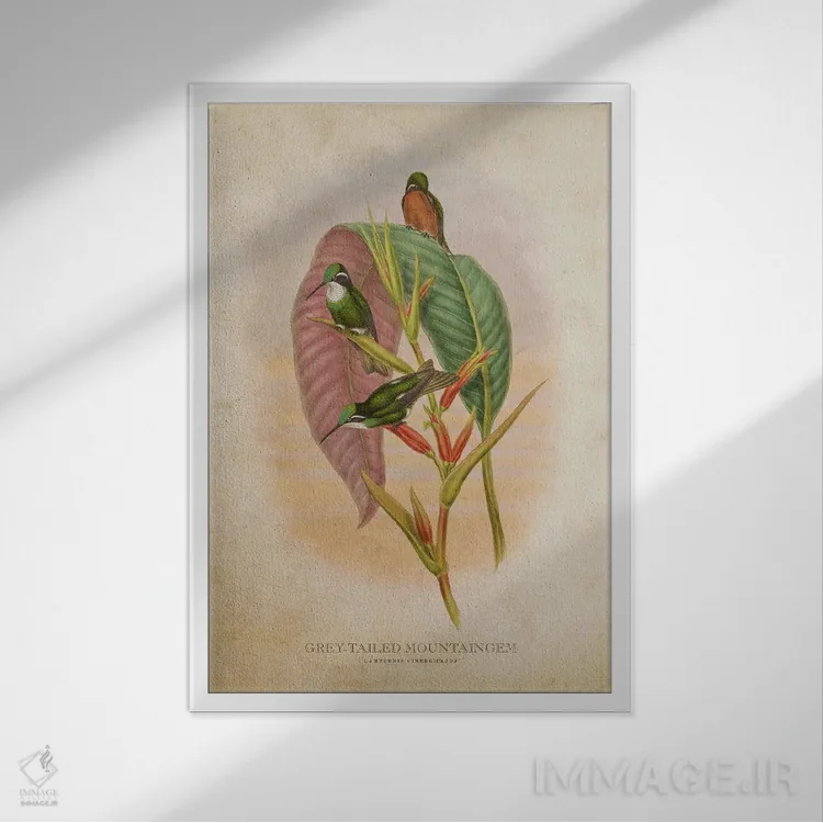 تابلو ماونتینگم دمخاکستری (وینتیج) اثر پیکسل کهنه (استودیو/نام هنری) - نمای قابدار سفید