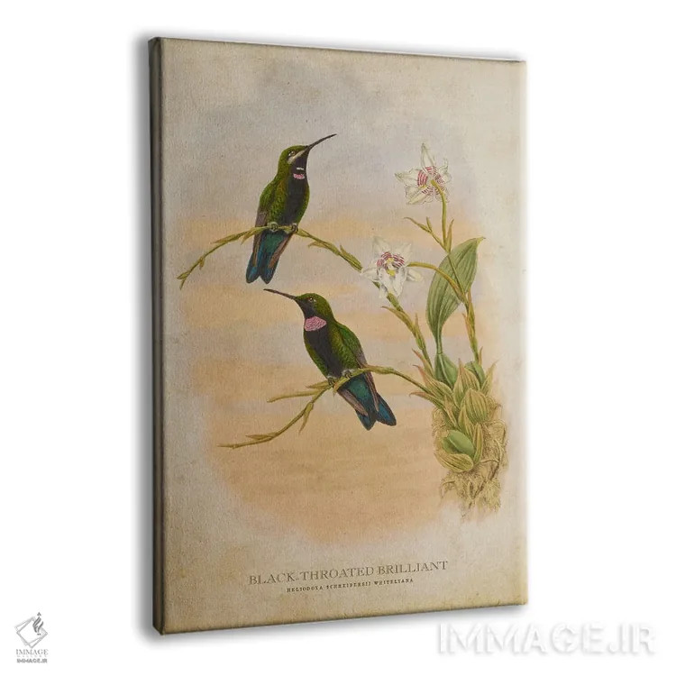 تابلو بریلیانت گلوسیاه (وینتیج) اثر پیکسل کهنه (استودیو/نام هنری) - نمای پرسپکتیو محصول