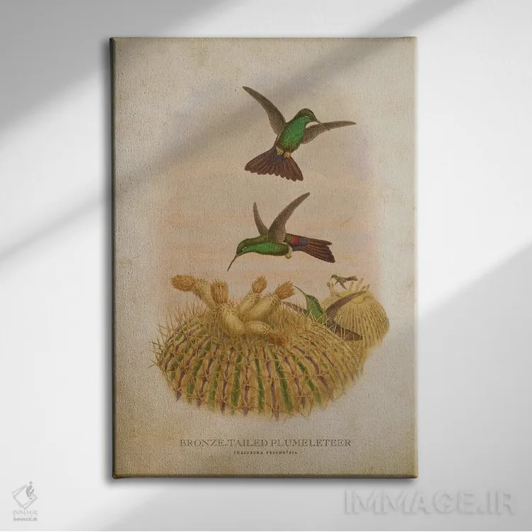 تابلو پلاملتیر دمبرنزی (وینتیج) (مرغ مگسخوار) اثر پیکسل کهنه (استودیو/نام هنری) - نمای روبهرو روی دیوار