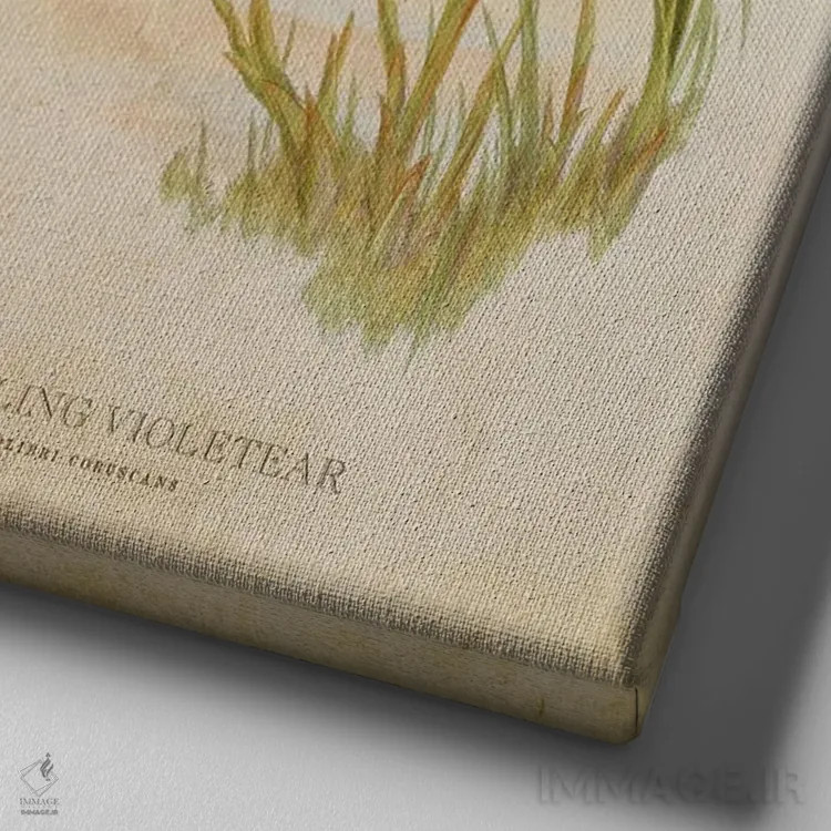 تابلو گوشبنفش درخشان (وینتیج) (مرغ مگسخوار) اثر پیکسل کهنه (استودیو/نام هنری) - نمای نزدیک بافت بوم