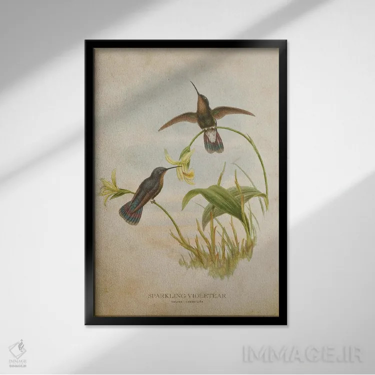 تابلو گوشبنفش درخشان (وینتیج) (مرغ مگسخوار) اثر پیکسل کهنه (استودیو/نام هنری) - نمای قابدار مشکی