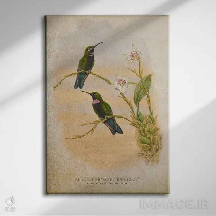 تابلو بریلیانت گلوسیاه (وینتیج) اثر پیکسل کهنه (استودیو/نام هنری) - نمای روبهرو روی دیوار