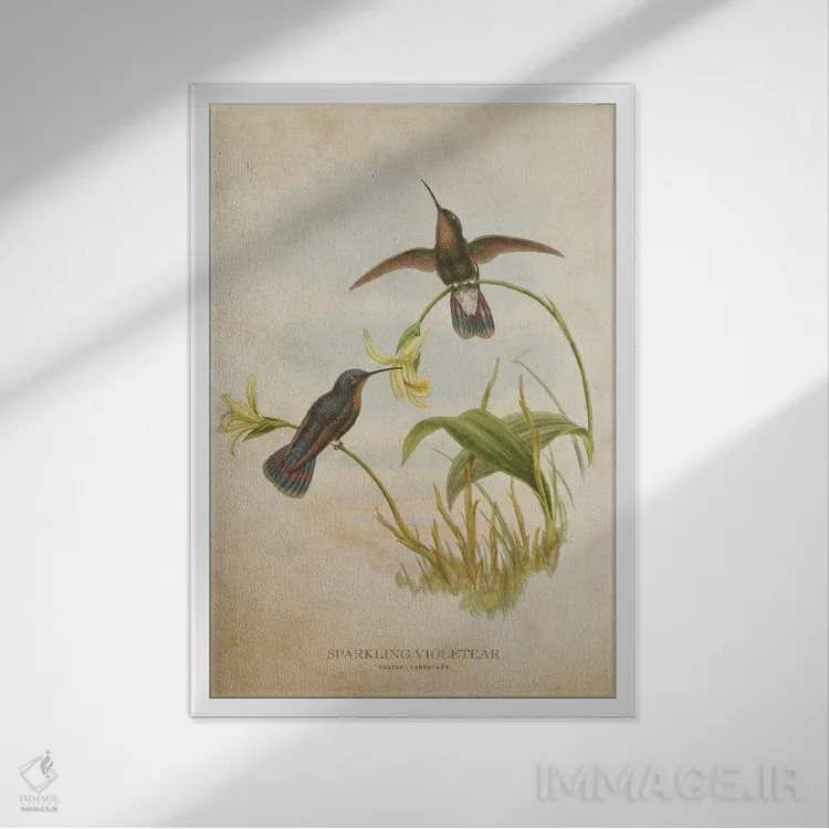 تابلو گوشبنفش درخشان (وینتیج) (مرغ مگسخوار) اثر پیکسل کهنه (استودیو/نام هنری) - نمای قابدار سفید