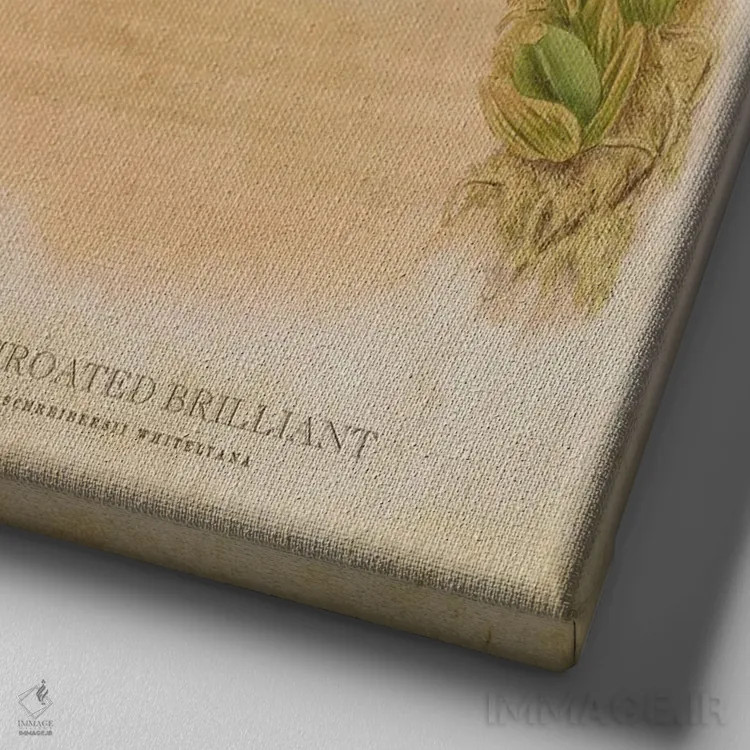 تابلو بریلیانت گلوسیاه (وینتیج) اثر پیکسل کهنه (استودیو/نام هنری) - نمای نزدیک بافت بوم