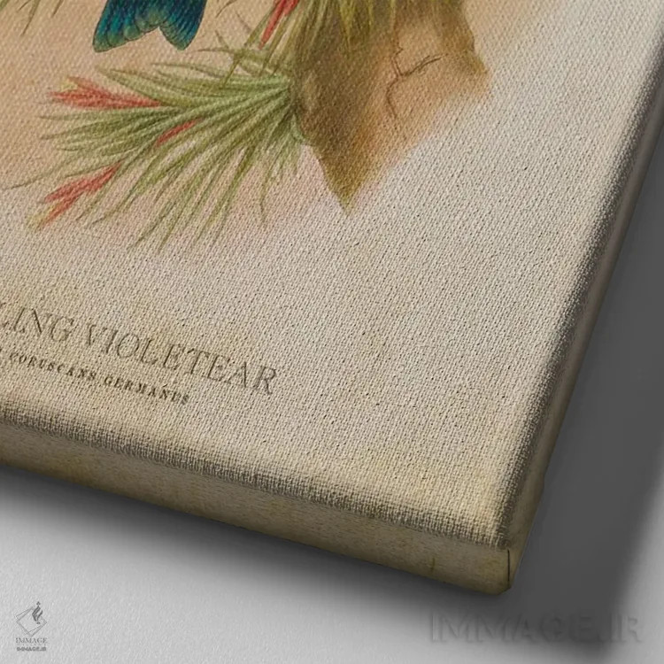 تابلو کولیبری کوروسکانس ژرمانوس (وینتیج) (نام علمی مرغ مگسخوار) اثر پیکسل کهنه (استودیو/نام هنری) - نمای نزدیک بافت بوم