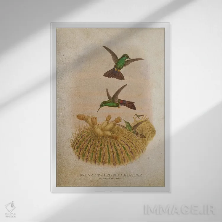 تابلو پلاملتیر دمبرنزی (وینتیج) (مرغ مگسخوار) اثر پیکسل کهنه (استودیو/نام هنری) - نمای قابدار سفید