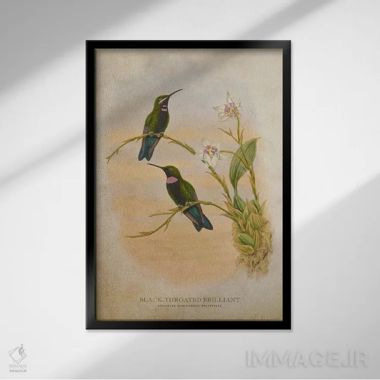 تابلو بریلیانت گلوسیاه (وینتیج) اثر پیکسل کهنه (استودیو/نام هنری) - نمای قابدار مشکی