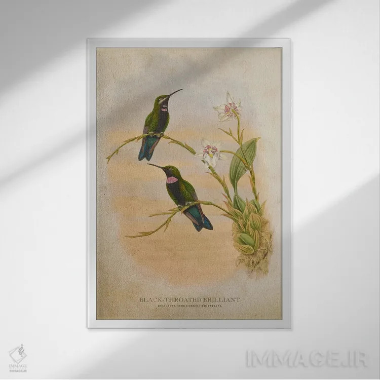 تابلو بریلیانت گلوسیاه (وینتیج) اثر پیکسل کهنه (استودیو/نام هنری) - نمای قابدار سفید