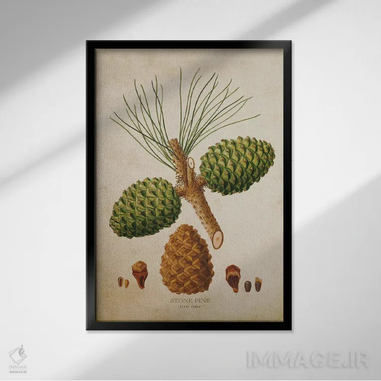 تابلو میوه کاج استون (وینتیج) اثر پیکسل کهنه (استودیو/نام هنری) - نمای قابدار مشکی