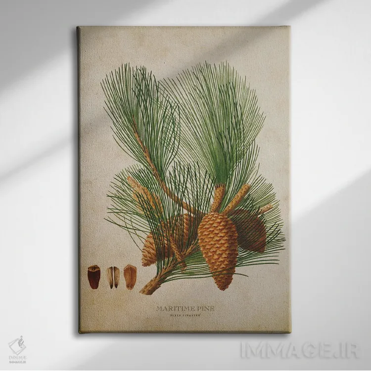 تابلو میوه درخت کاج دریایی (وینتیج) اثر پیکسل کهنه (استودیو/نام هنری) - نمای روبهرو روی دیوار