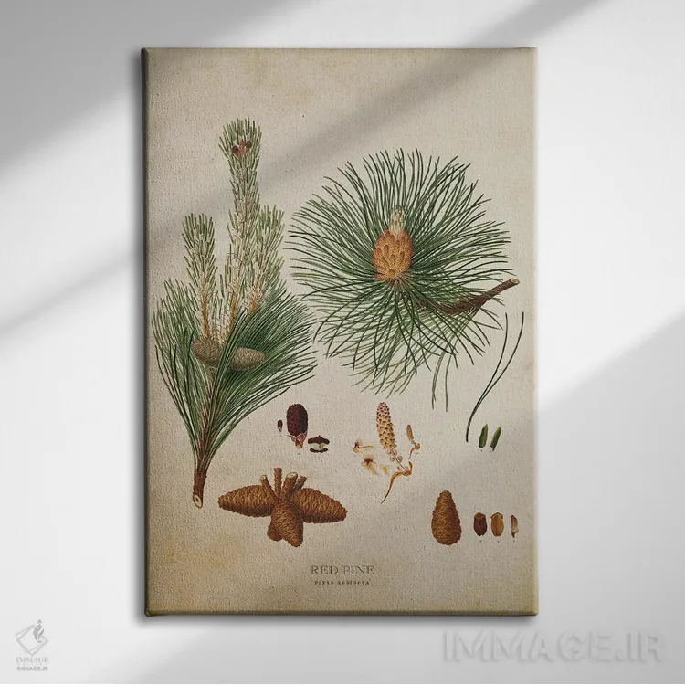تابلو میوه درخت کاج قرمز (وینتیج) اثر پیکسل کهنه (استودیو/نام هنری) - نمای روبهرو روی دیوار