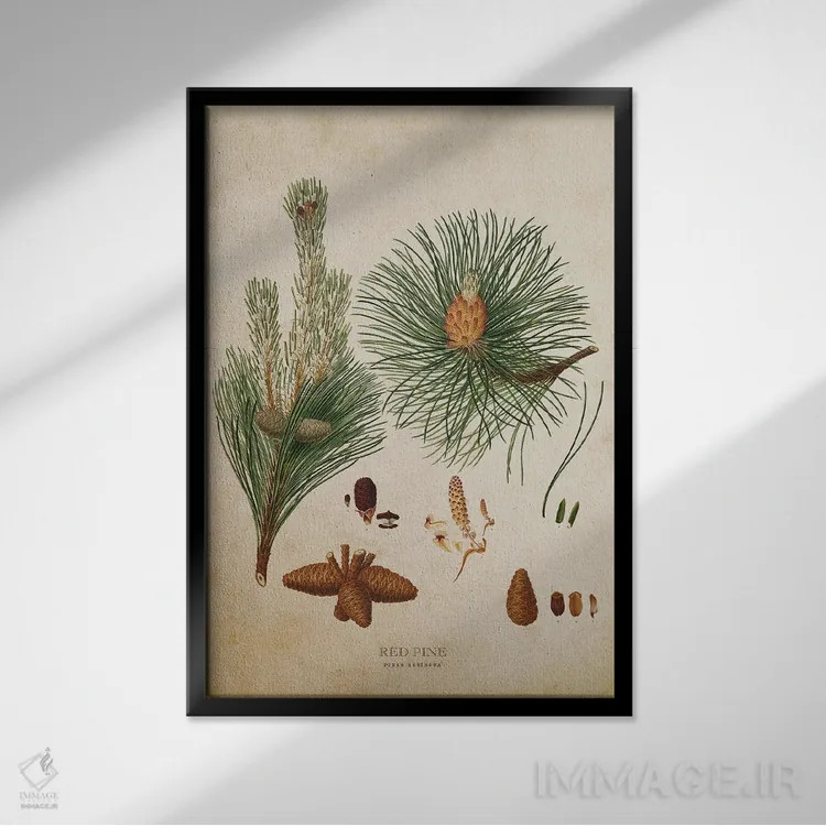 تابلو میوه درخت کاج قرمز (وینتیج) اثر پیکسل کهنه (استودیو/نام هنری) - نمای قابدار مشکی