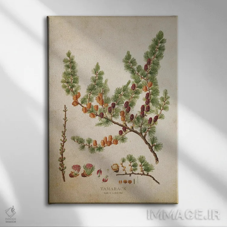 تابلو درخت تمرک با میوهها (وینتیج) اثر پیکسل کهنه (استودیو/نام هنری) - نمای روبهرو روی دیوار