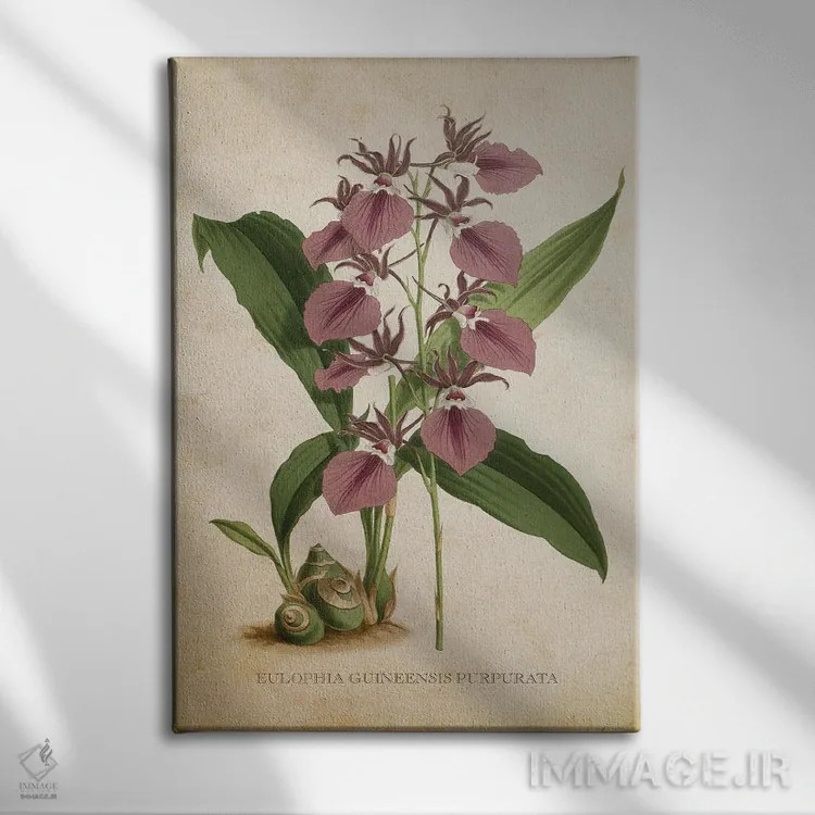 تابلو ارکیده (گلدان وینتیج) اثر پیکسل کهنه (استودیو/نام هنری) - نمای روبهرو روی دیوار