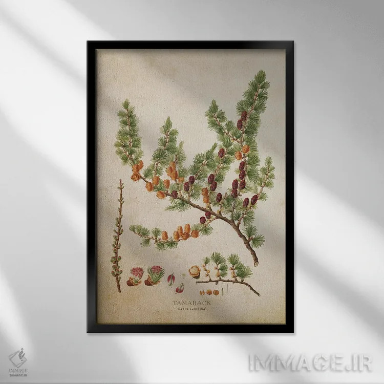 تابلو درخت تمرک با میوهها (وینتیج) اثر پیکسل کهنه (استودیو/نام هنری) - نمای قابدار مشکی