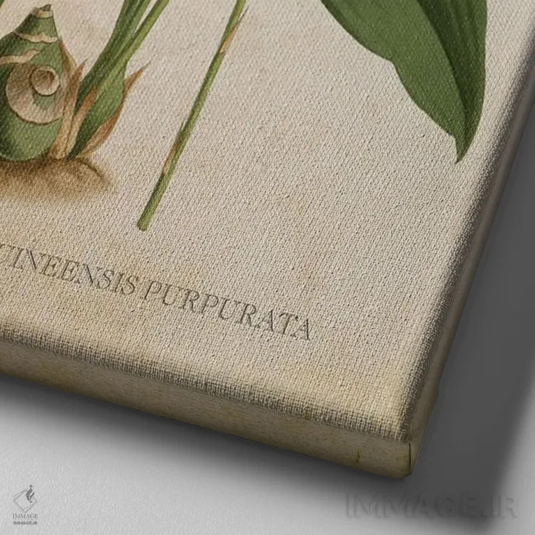 تابلو ارکیده (گلدان وینتیج) اثر پیکسل کهنه (استودیو/نام هنری) - نمای نزدیک بافت بوم