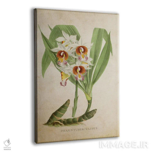تابلو ارکیده (گلدان وینتیج) اثر پیکسل کهنه (استودیو/نام هنری) - نمای پرسپکتیو محصول