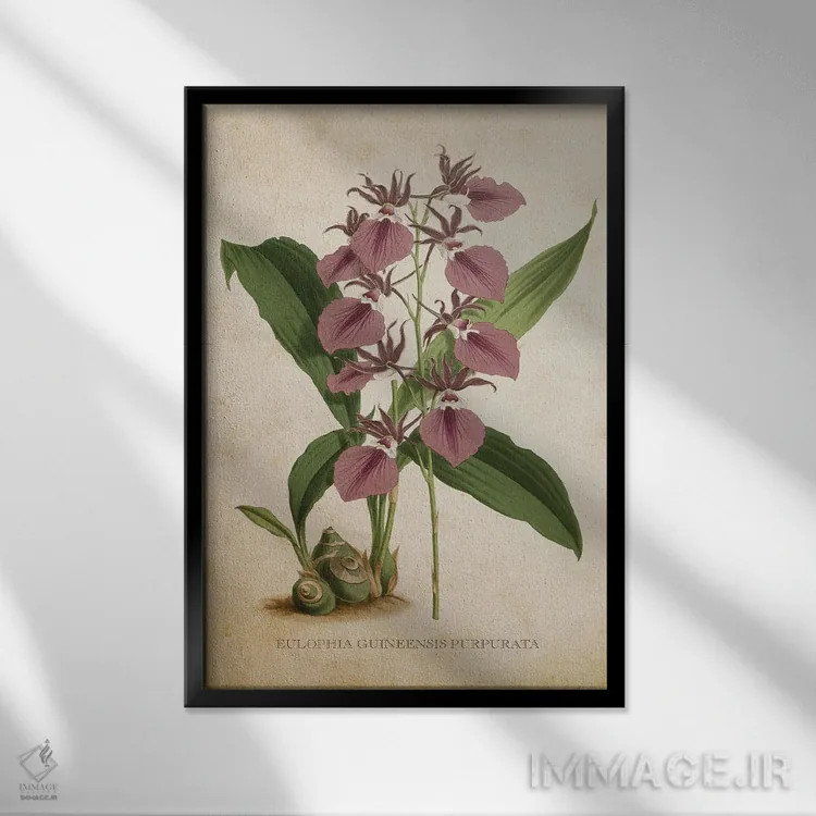 تابلو ارکیده (گلدان وینتیج) اثر پیکسل کهنه (استودیو/نام هنری) - نمای قابدار مشکی