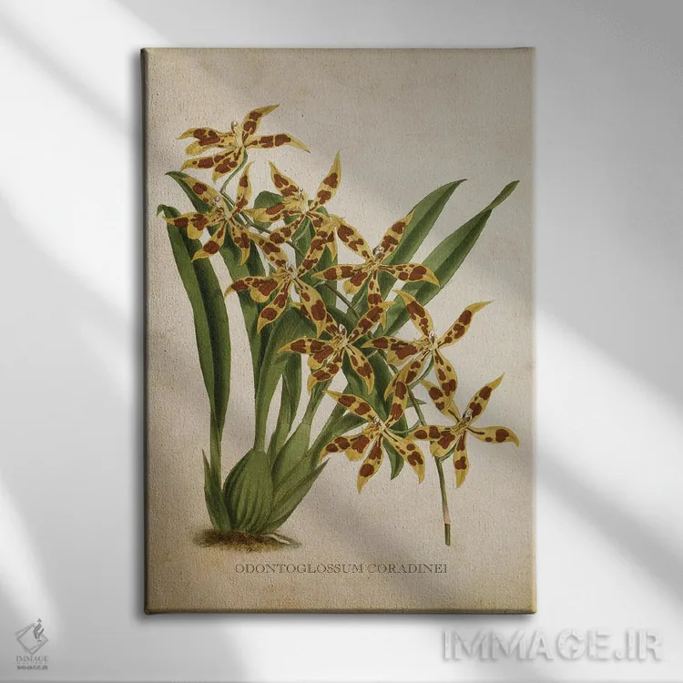 تابلو ارکیده (گلدان وینتیج) اثر پیکسل کهنه (استودیو/نام هنری) - نمای روبهرو روی دیوار