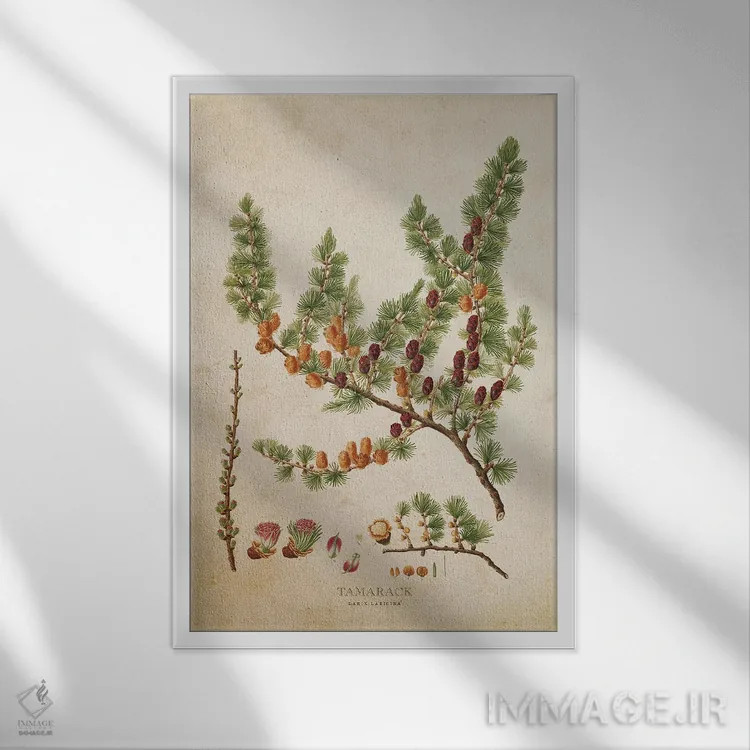 تابلو درخت تمرک با میوهها (وینتیج) اثر پیکسل کهنه (استودیو/نام هنری) - نمای قابدار سفید