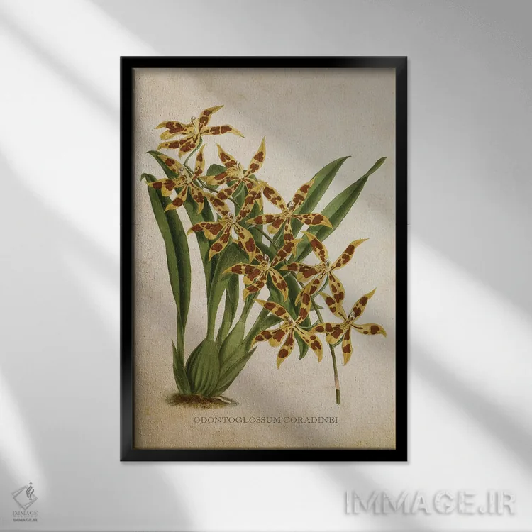 تابلو ارکیده (گلدان وینتیج) اثر پیکسل کهنه (استودیو/نام هنری) - نمای قابدار مشکی