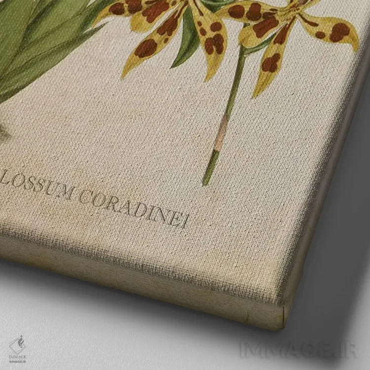 تابلو ارکیده (گلدان وینتیج) اثر پیکسل کهنه (استودیو/نام هنری) - نمای نزدیک بافت بوم