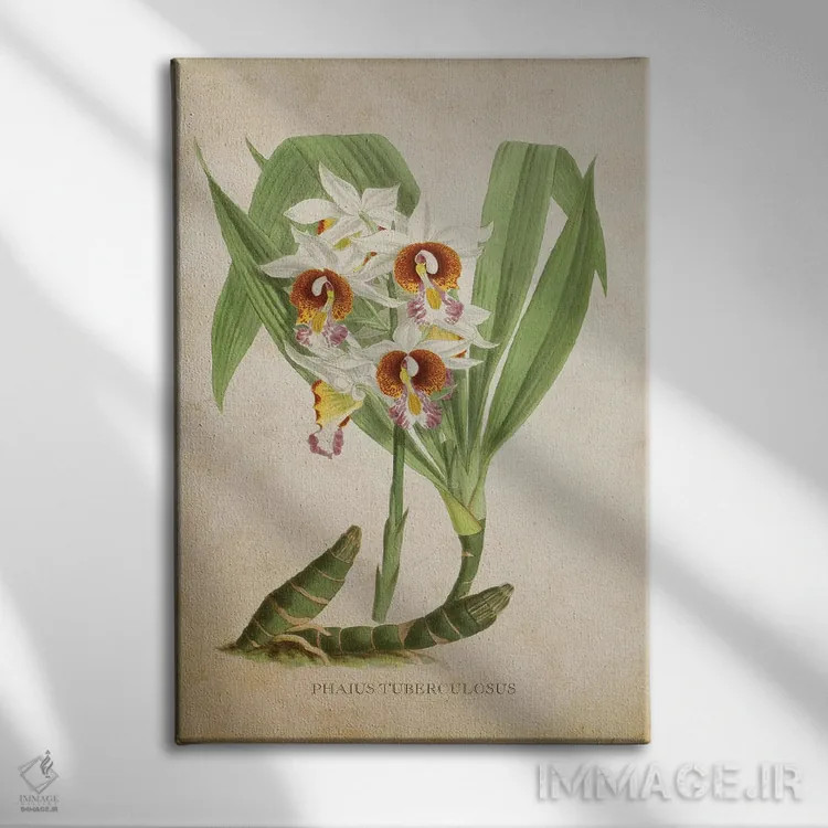 تابلو ارکیده (گلدان وینتیج) اثر پیکسل کهنه (استودیو/نام هنری) - نمای روبهرو روی دیوار